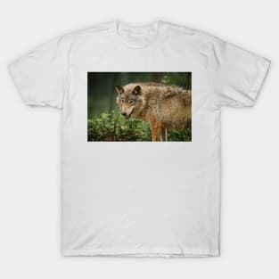 Timber Wolf T-Shirt